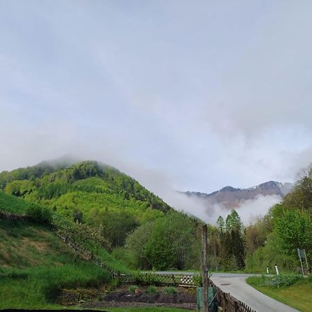 Wohnung Im Nationalpark Kalkalpen 3 Reichraming Zewnętrze zdjęcie