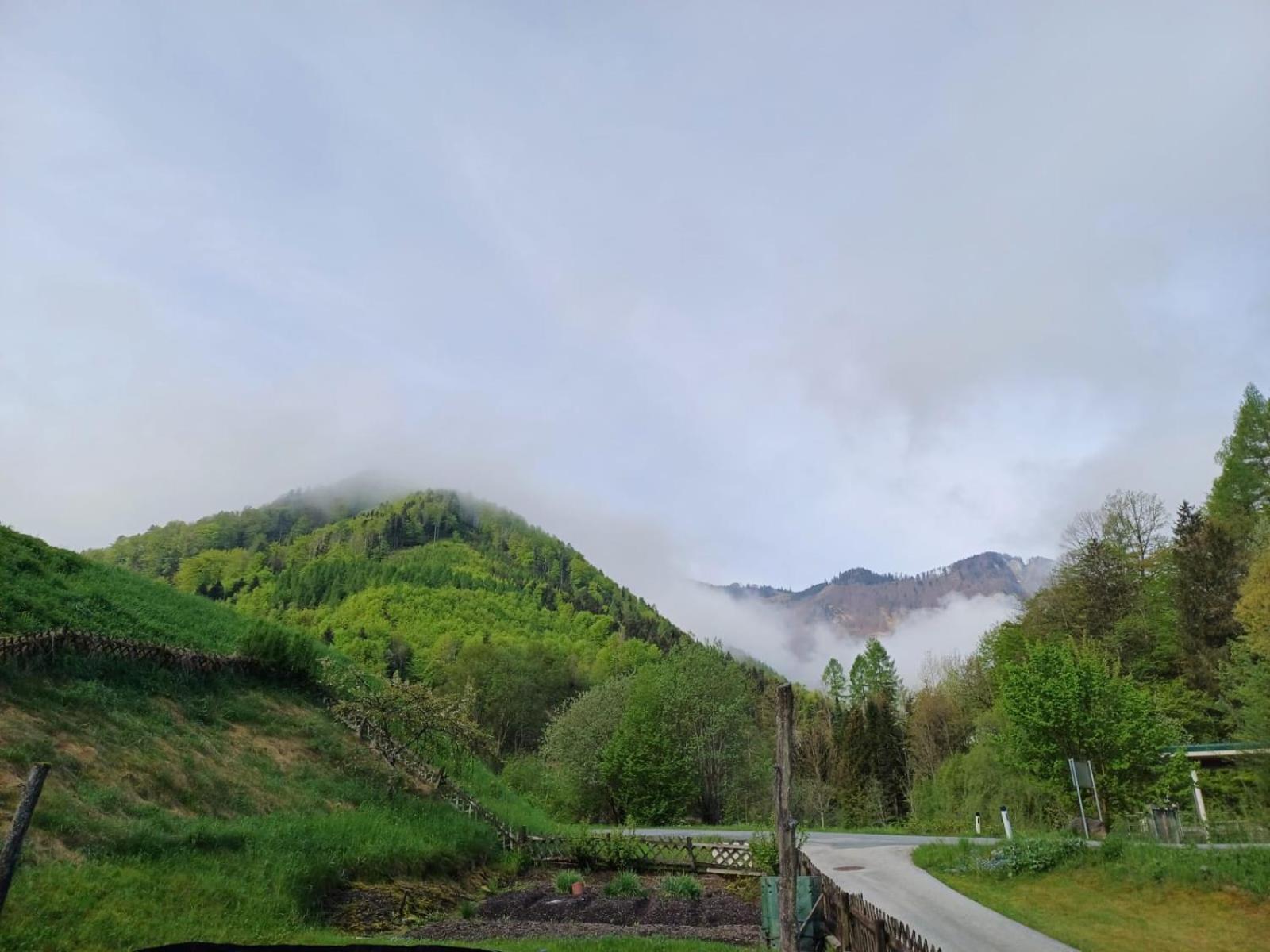 Wohnung Im Nationalpark Kalkalpen 3 Reichraming Zewnętrze zdjęcie