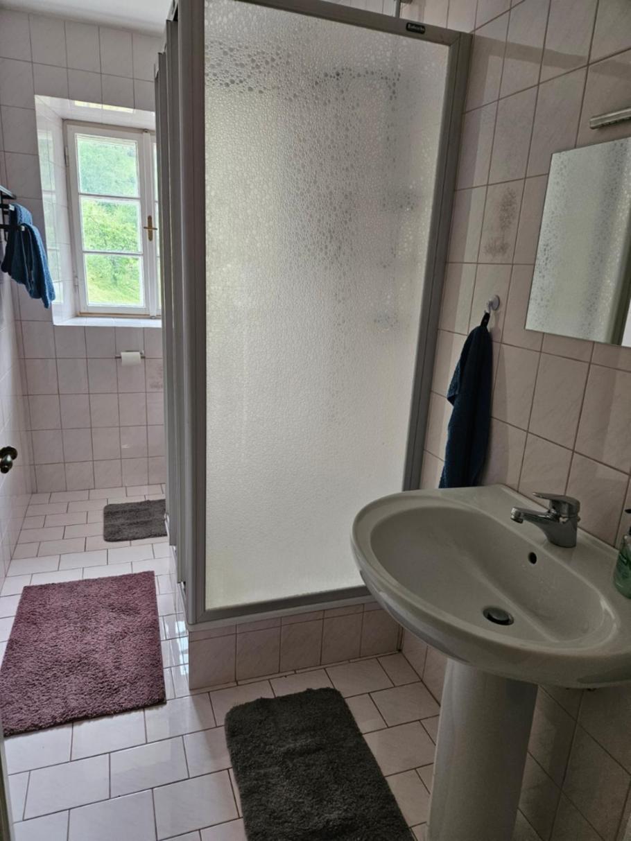 Wohnung Im Nationalpark Kalkalpen 3 Reichraming Zewnętrze zdjęcie