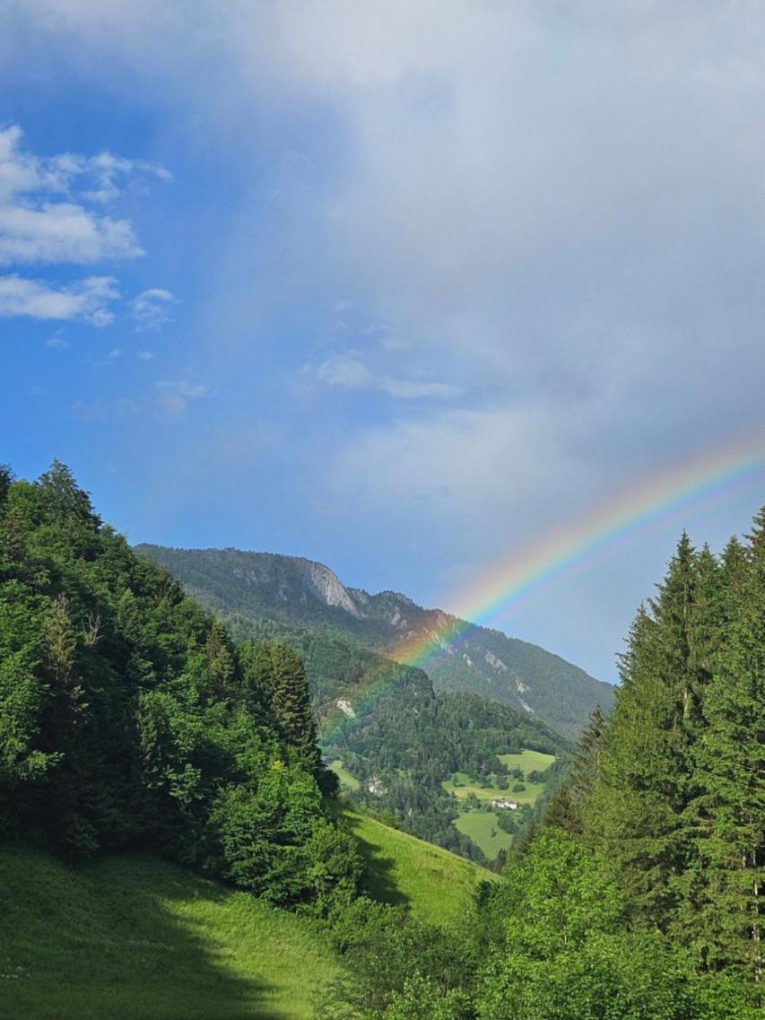 Wohnung Im Nationalpark Kalkalpen 3 Reichraming Zewnętrze zdjęcie