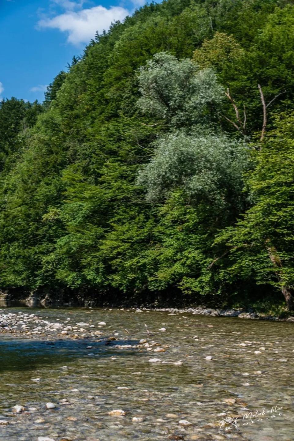 Wohnung Im Nationalpark Kalkalpen 3 Reichraming Zewnętrze zdjęcie